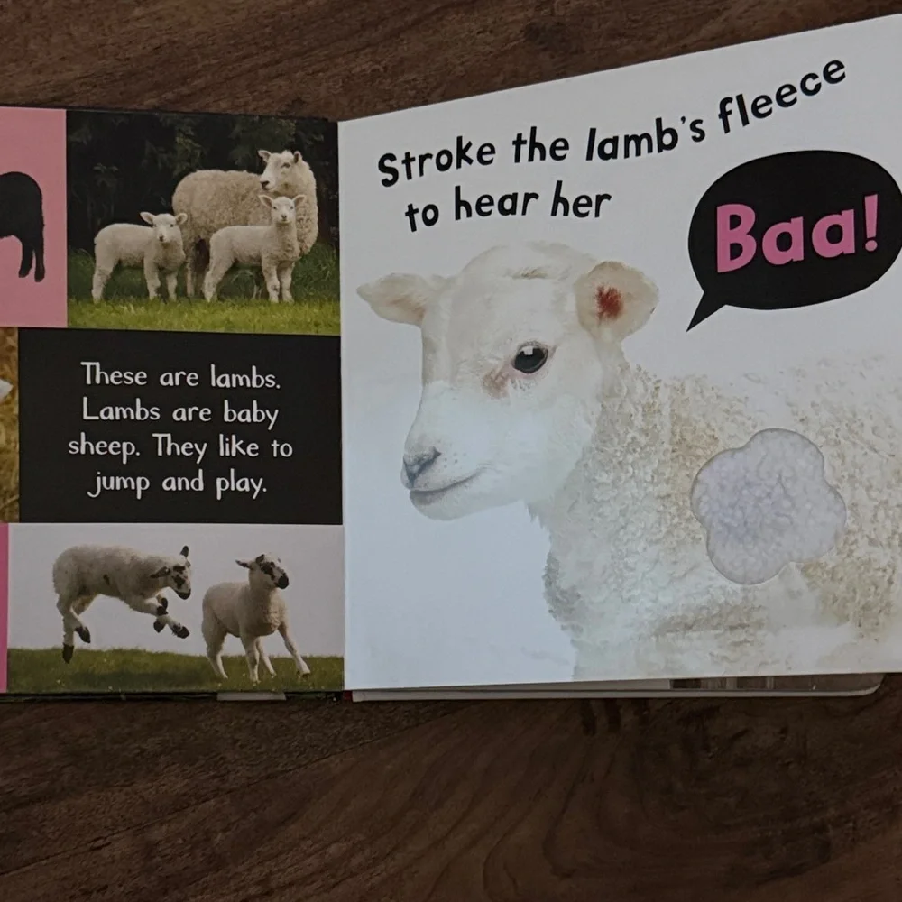 Noisy Farm Touch and Feel Sound Book
